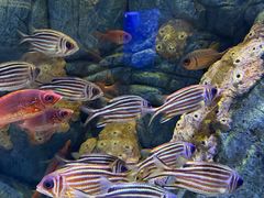 -成都浩海立方海洋公园