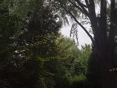 -北坞公园
