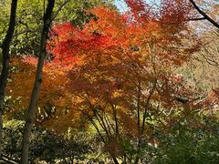 -中国茶叶博物馆(双峰馆区)