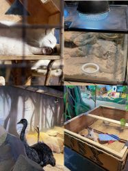 -酷嗒动物文化乐园(cutezoo西溪乐天城店)