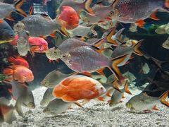 -太平洋海底世界