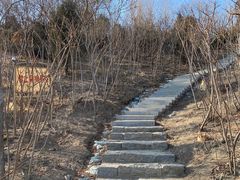 -南翠屏公园