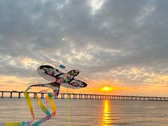 -宝安西湾红树林湿地公园