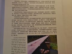 -赵州桥景区