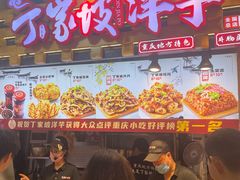 -周小亮丁家坡洋芋(全国总店)