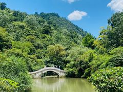 -黔灵山公园