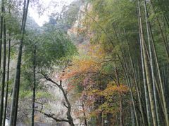 -五泄景区