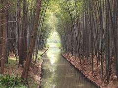 -同里国家湿地公园