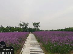 -同里国家湿地公园