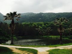 -普陀山风景名胜区-千步大沙