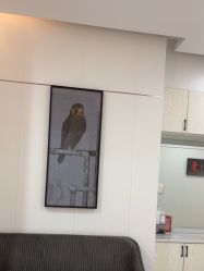 -AIST爱思特医疗美容医院