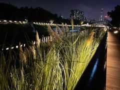 -福田红树林生态公园