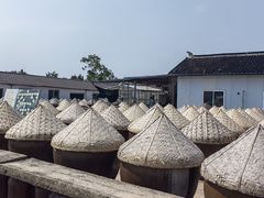 -苏州市吴中区光福窑上花果蜜饯厂