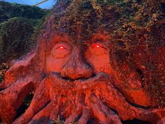 -横店影视城梦幻谷园区