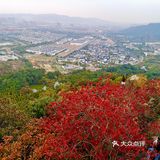 天平山虽然海拔只有200多米,在中国的诸多名山中算不