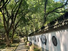 -上海佘山国家森林公园天马山园