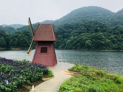 -广州市石门国家森林公园