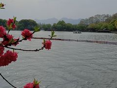 -西湖游船