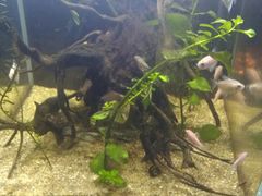 -洛阳龙门海洋馆