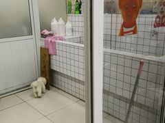 -中环花鸟鱼虫市场