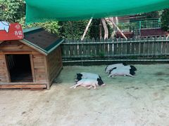 -清河半岛温泉度假酒店