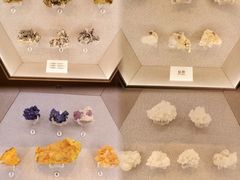-贵州省地质博物馆