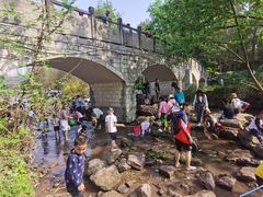 -重庆彩云湖湿地公园
