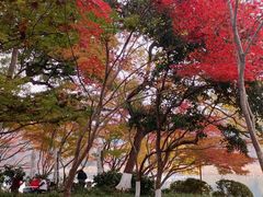 -北山街历史文化街区