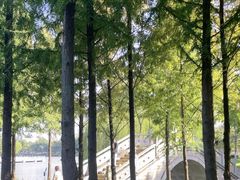 -南通濠河风景名胜区