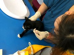 -瑞派申生动物医院·24H夜诊·国际动物医疗中心·骨外科(吴中路店)