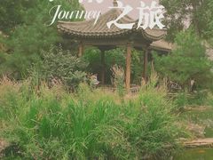 -三里河公园