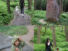 -洛阳白云山景区