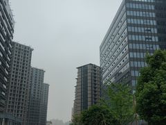 -蓝钻天成
