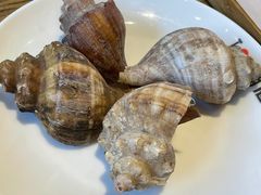 -潮庭·大连海鲜·炭火烧烤·扇贝王(大连店)