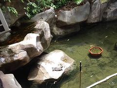 -盈香心动乐园