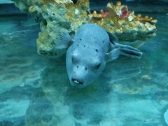 -泉州海丝野生动物世界