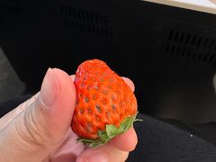 -亚马逊海鲜自助(梅溪湖步步高店)