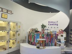 -小猫来了·猫舍(红山六九七九店)
