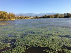 -西昌邛海湿地