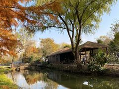 -溱湖国家湿地公园