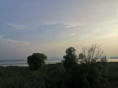 -合肥滨湖国家森林公园