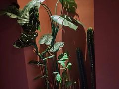 -泰融玺·泰式按摩SPA(包河万达店)