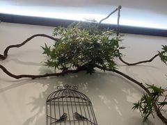 -耳艺采耳·足疗·按摩SPA(市桥店)