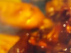 -素满香·素食自助餐(西安·民乐园店)