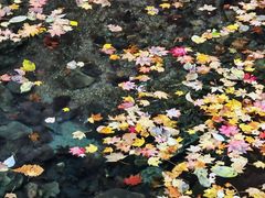 -本溪汤沟绿石谷森林公园