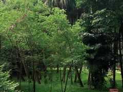-莲花山公园