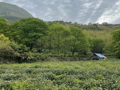 -塔川景区