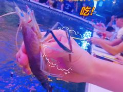 -凤城·食都