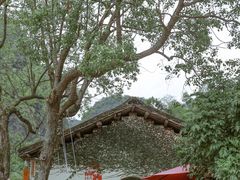 -村上春树
