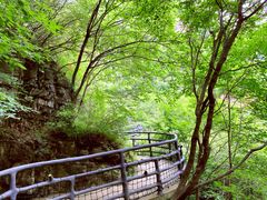 -十渡东湖港风景区